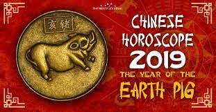 Chinese New Year Earth Pig 2