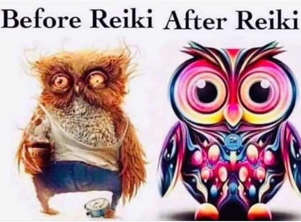 Before After Owl
