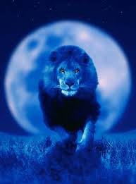 New Moon in Leo