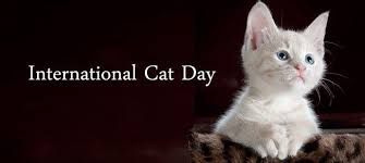 World Cat Day