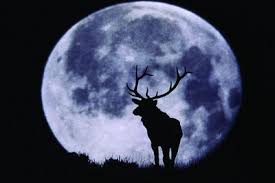 Full Moon in Capricorn 1