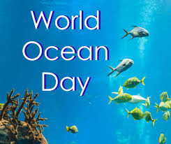 World Ocean Day 4